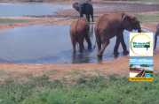 Obraz podglądu z kamery internetowej Tsavo East National Park Kenya - Voi Wildlife Lodge